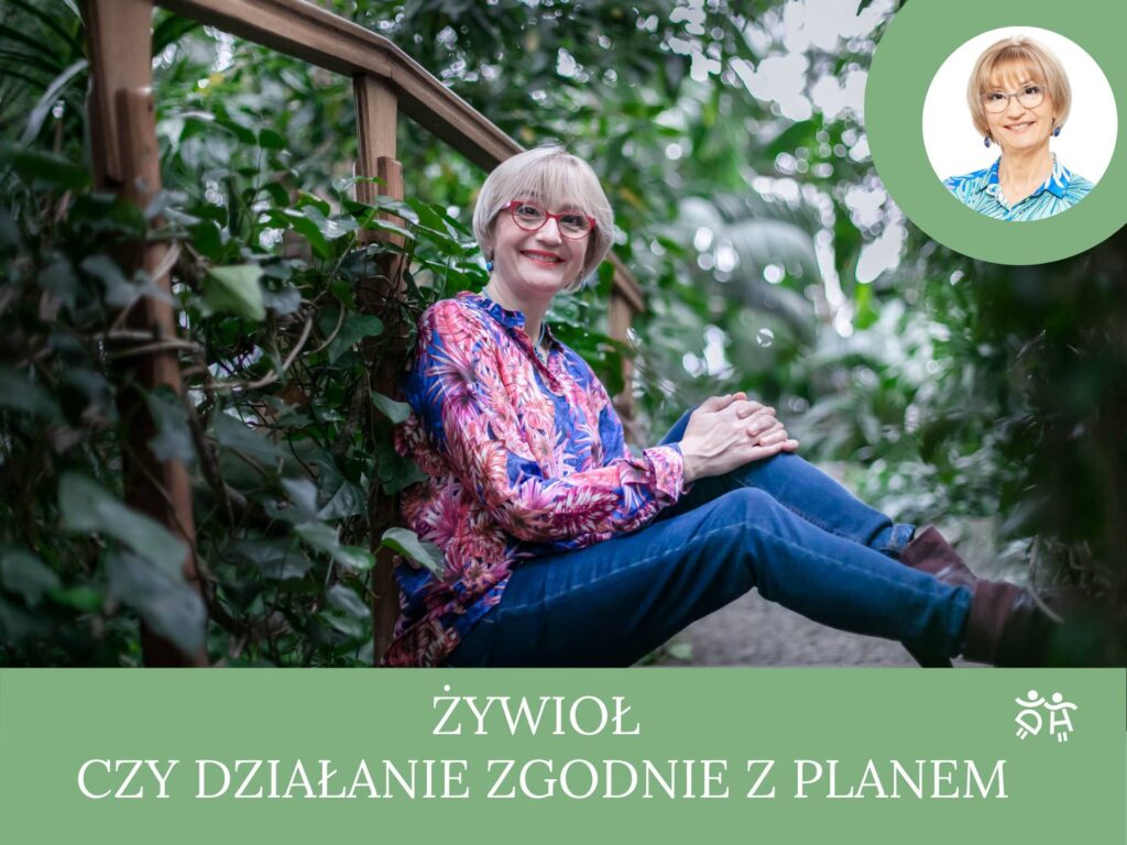 Żywioł czy działanie zgodne z planem